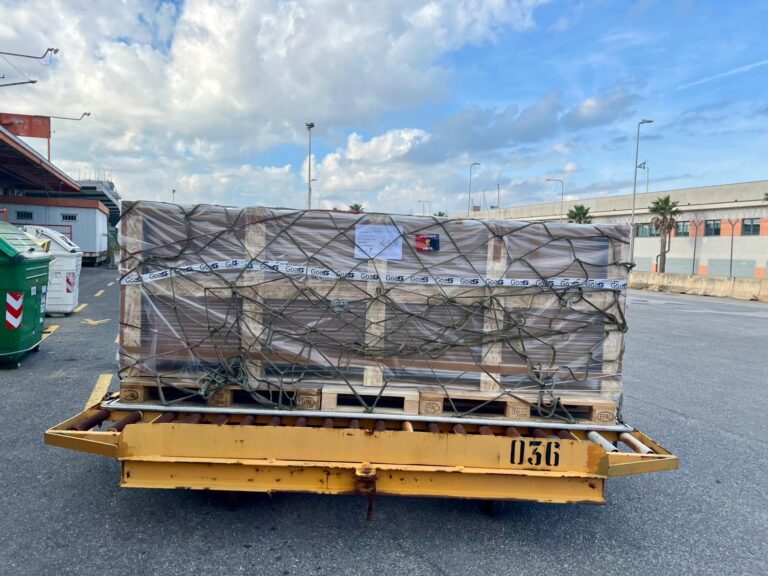 Consorzio Goas pallet- spedizione – cargo aereo – Genova – Aeroporto (4)