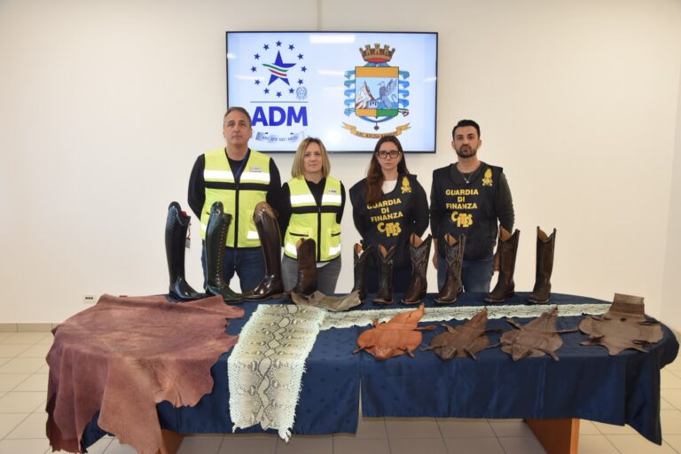 Sequesto Dogane – Guardia di Finanza capi di moda in pelle (1)